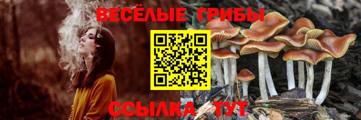 Ступино  Псилоцибиновые грибы мицелий  Вход с VPN 